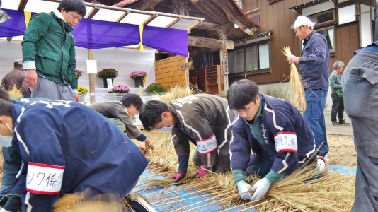 菊まつり 境内では「ねこかき」が行われていました_c0336902_16231357.jpg