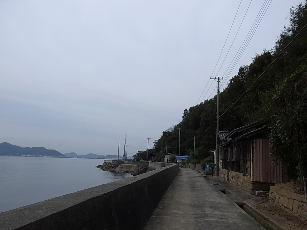 志々島＠香川県三豊市_f0197703_14593532.jpg