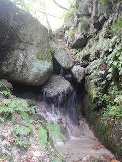 国見岳…尾西谷右俣と左岸尾根_c0359615_23044882.jpg