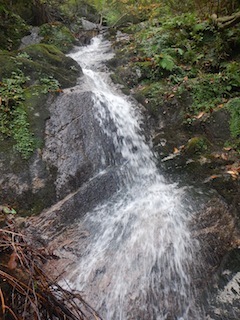国見岳…尾西谷右俣と左岸尾根_c0359615_23045366.jpg
