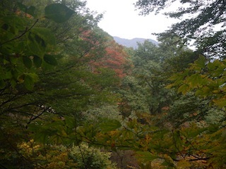 国見岳…尾西谷右俣と左岸尾根_c0359615_23055591.jpg