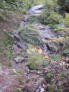 国見岳…尾西谷右俣と左岸尾根_c0359615_23060266.jpg