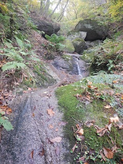 国見岳…尾西谷右俣と左岸尾根_c0359615_23060602.jpg