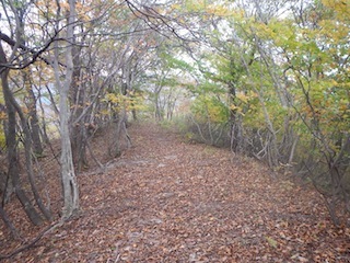 国見岳…尾西谷右俣と左岸尾根_c0359615_23070843.jpg