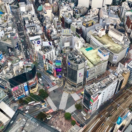渋谷スカイにお登りさん_f0197215_08371463.jpeg