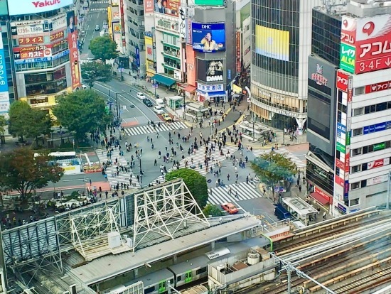 渋谷スカイにお登りさん_f0197215_08371494.jpeg