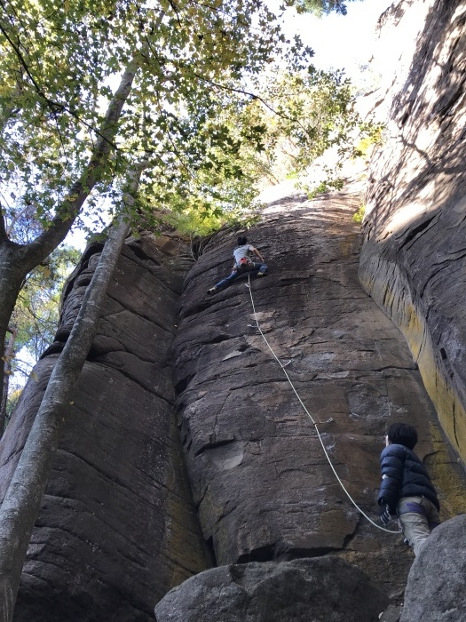 2019年11月4日、ルート整備お手伝いの佐久の岩場、オレンジペコRP_b0037220_23264636.jpg