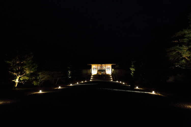 紅葉の御室仁和寺 －紅葉ライトアップ（前編）－_b0169330_20134550.jpg