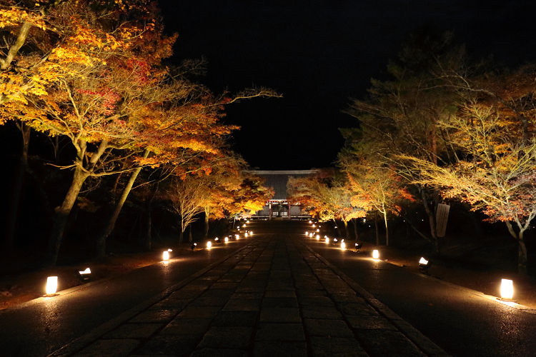 紅葉の御室仁和寺 －紅葉ライトアップ（前編）－_b0169330_20392038.jpg