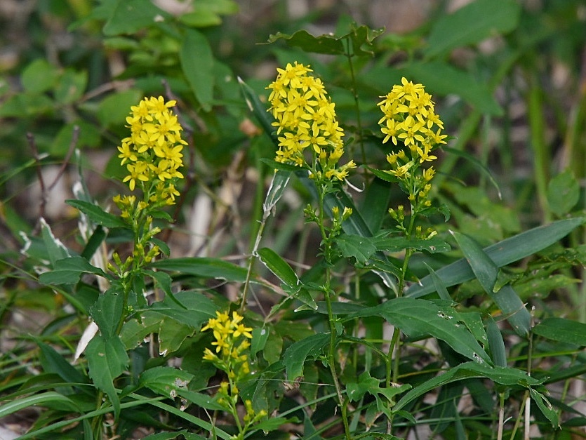 f0340732_21482936.jpg