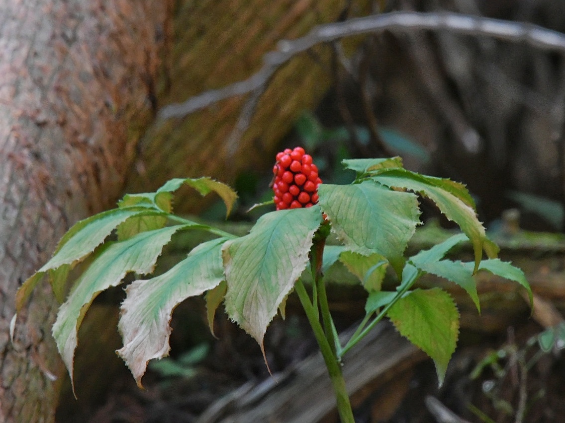 f0340732_21484848.jpg