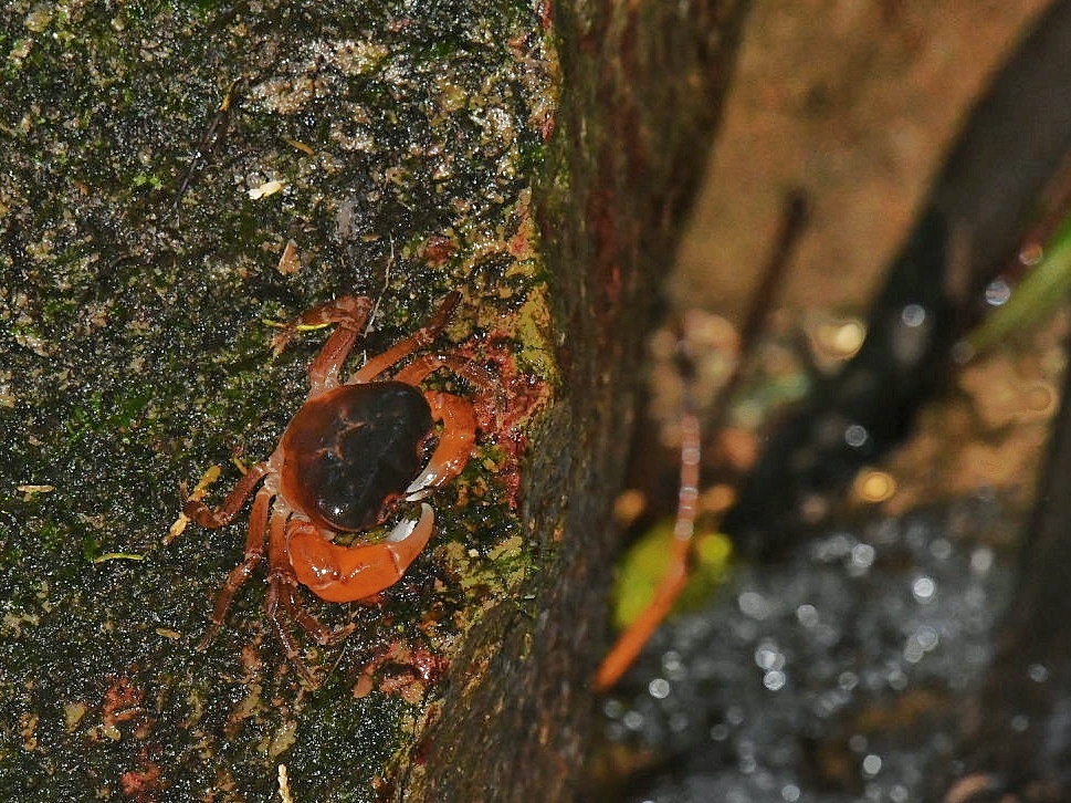 f0340732_21484908.jpg