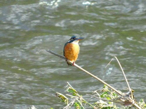 c0338136_19513395.jpg