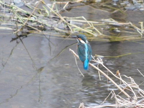 c0338136_20042017.jpg