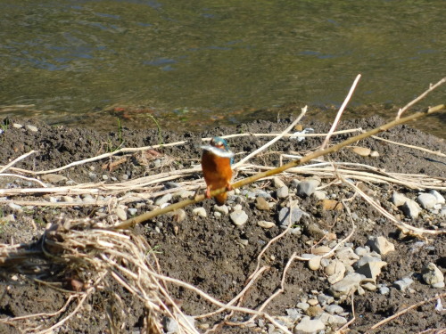 c0338136_20205318.jpg