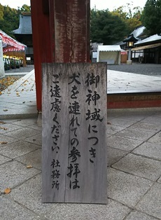 夜行日帰り秩父の旅 秩父神社編_b0080342_15191433.jpg