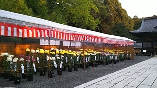 夜行日帰り秩父の旅 秩父神社編_b0080342_15193391.jpg