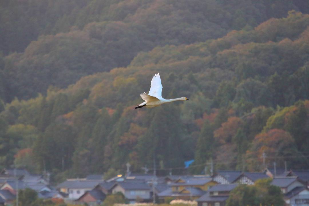 e0403850_22393150.jpg