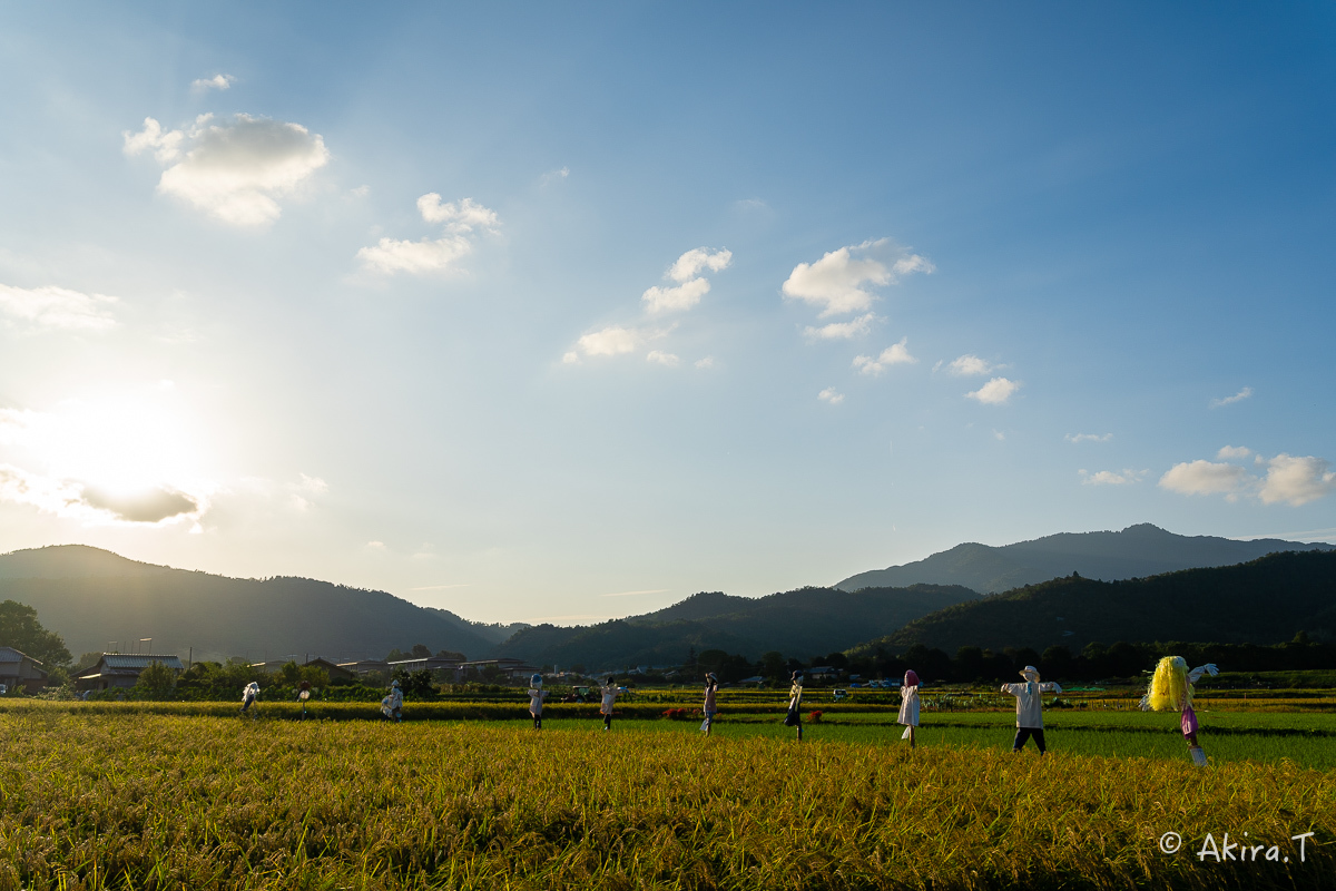 案山子 2019_f0152550_16571000.jpg