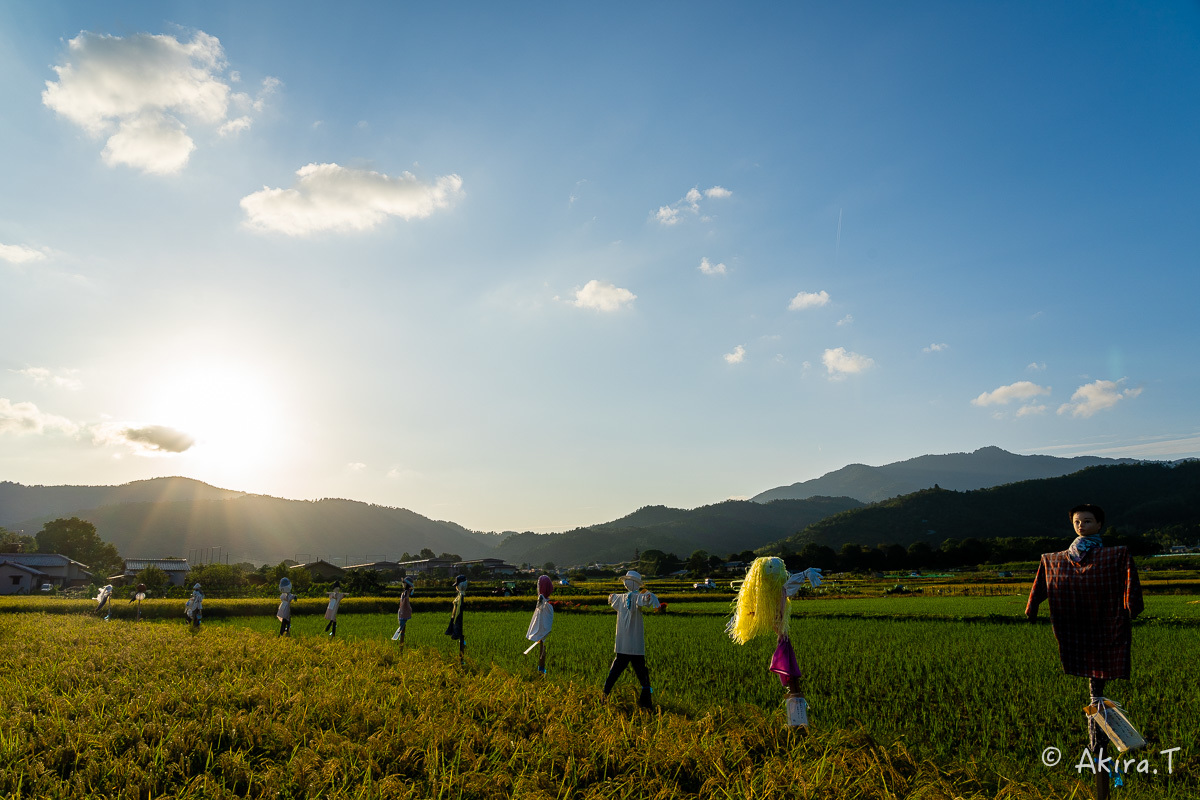 案山子 2019_f0152550_16572329.jpg