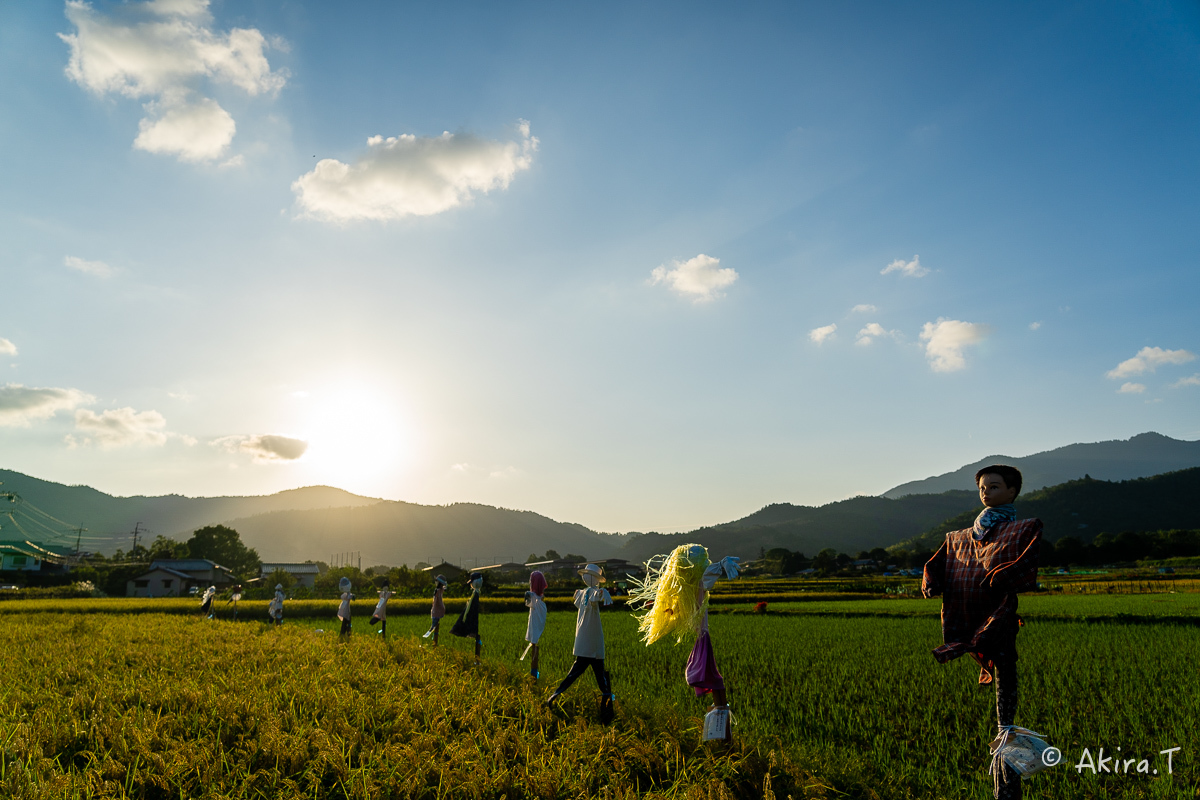 案山子 2019_f0152550_16573253.jpg