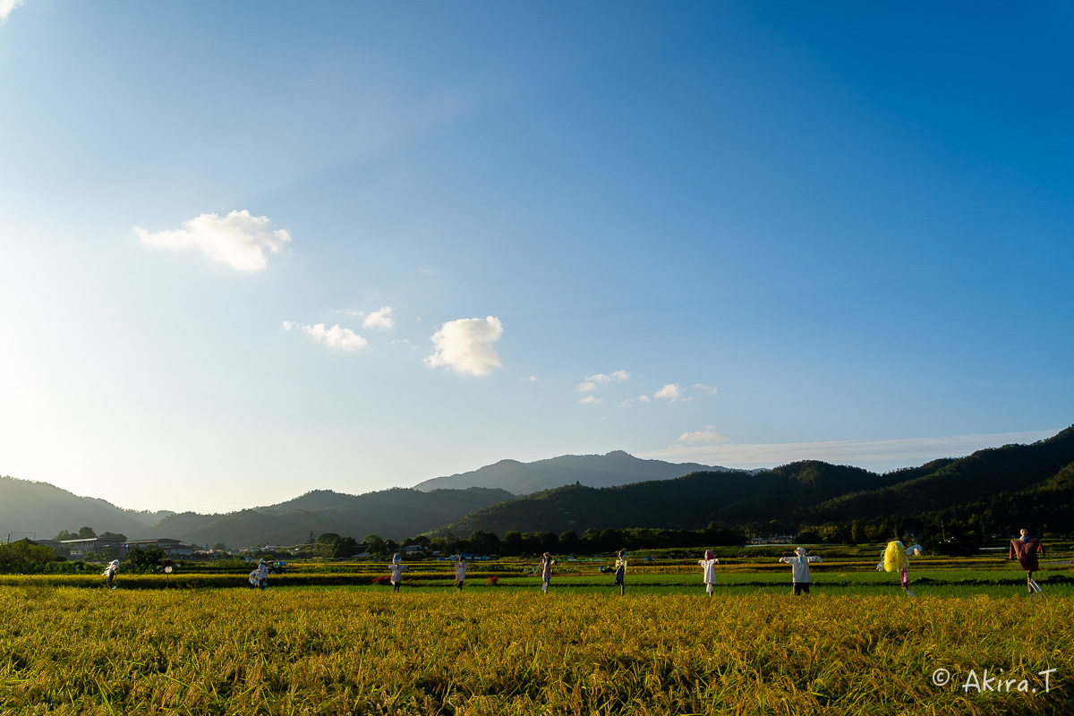 案山子 2019_f0152550_16573929.jpg