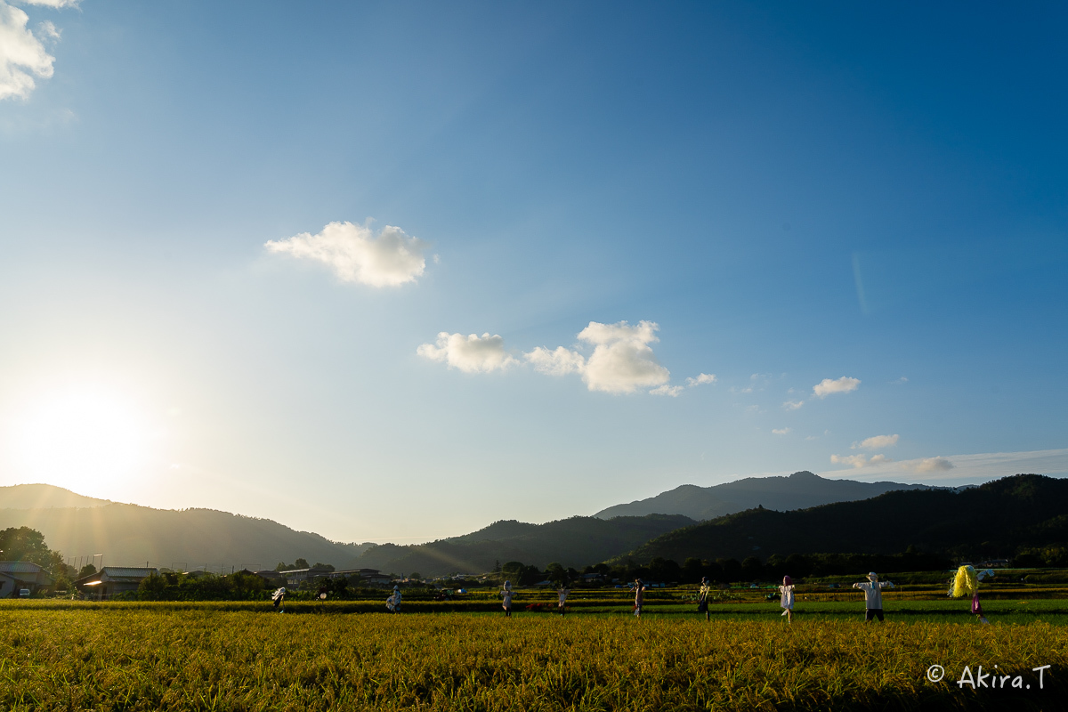 案山子 2019_f0152550_16574511.jpg