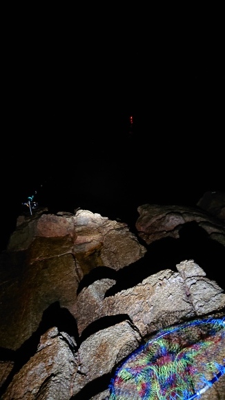 c0245666_21492787.jpg