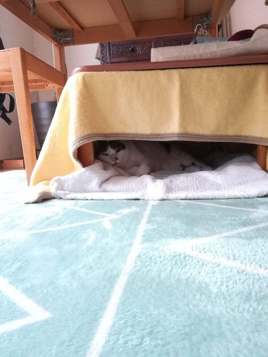 10月のスグルはこんなでした_e0171874_17103418.jpg
