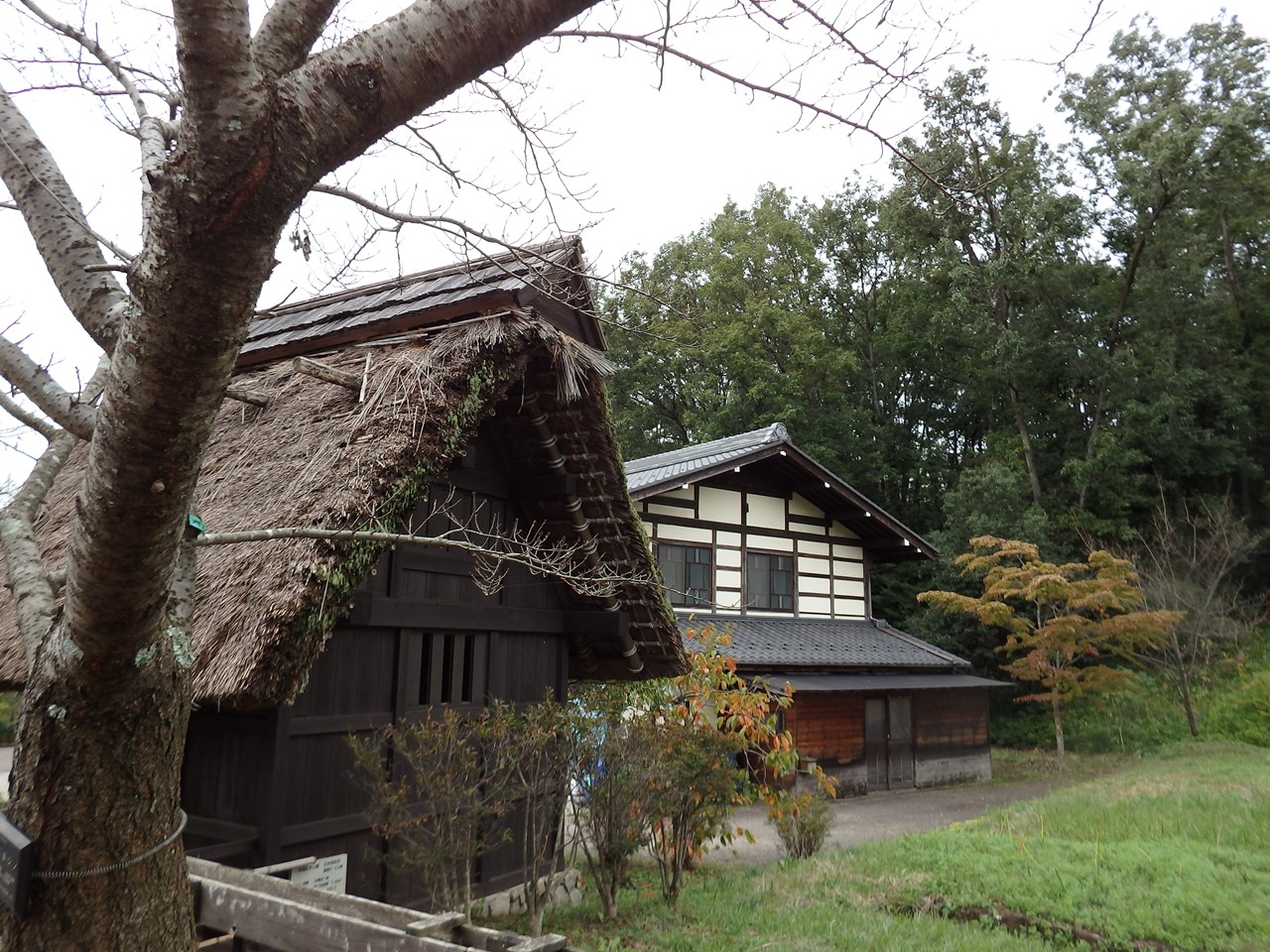 『懐かしい光景の中で・・・・・』_d0054276_19321055.jpg