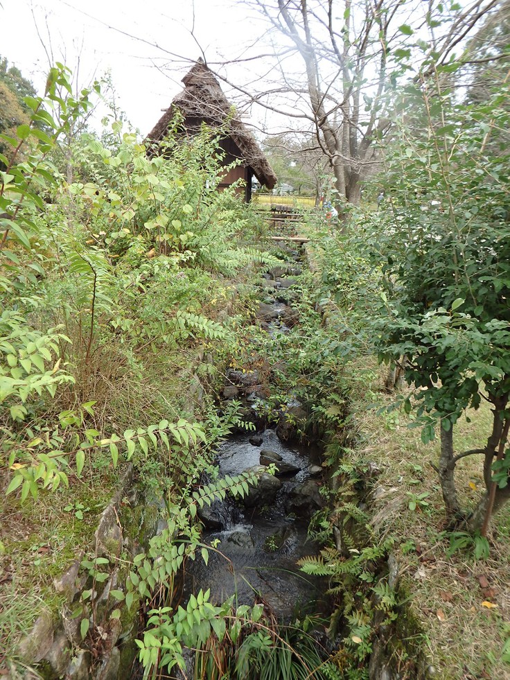 『懐かしい光景の中で・・・・・』_d0054276_19323476.jpg