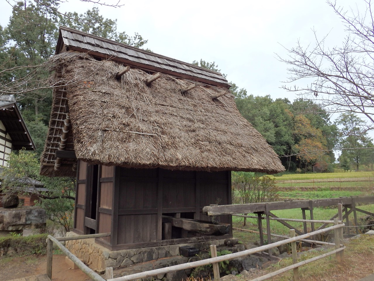 『懐かしい光景の中で・・・・・』_d0054276_19324535.jpg