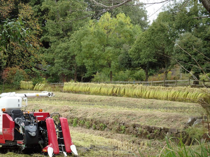 『懐かしい光景の中で・・・・・』_d0054276_19332126.jpg