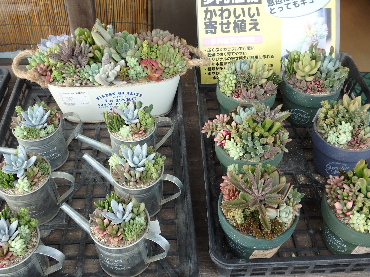 『懐かしい光景の中で・・・・・』_d0054276_1940407.jpg