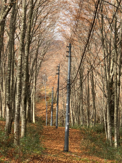 勝手に紅葉ツアー2019 乳頭温泉郷_e0355177_20412074.jpg