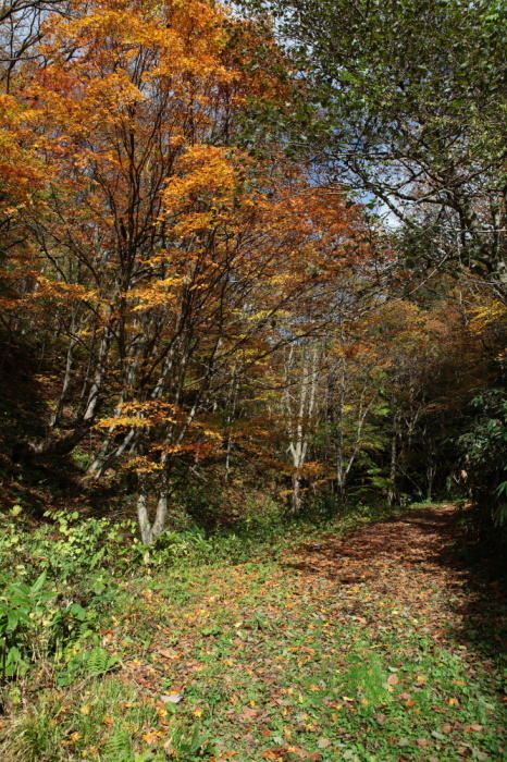 e0165983_10192212.jpg