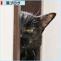 熱い視線_a0389088_17463627.jpg