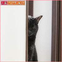 熱い視線_a0389088_17463659.jpg