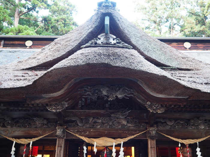 家族サービス1_d0077992_09242396.jpg