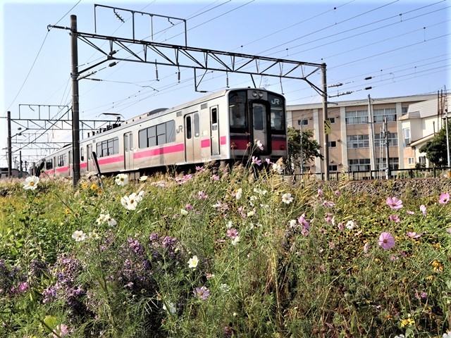 藤田八束の鉄道写真@トライアングル鉄道のある街を探しています。・・・大阪の加島トライアングルと青森千刈小学校前のトライアングルは素晴らしい。_d0181492_21095087.jpg