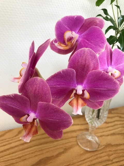 贅沢なフラワーアレンジメント_f0204295_12071109.jpg