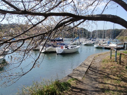 三浦かるた　め_e0077899_9451455.jpg