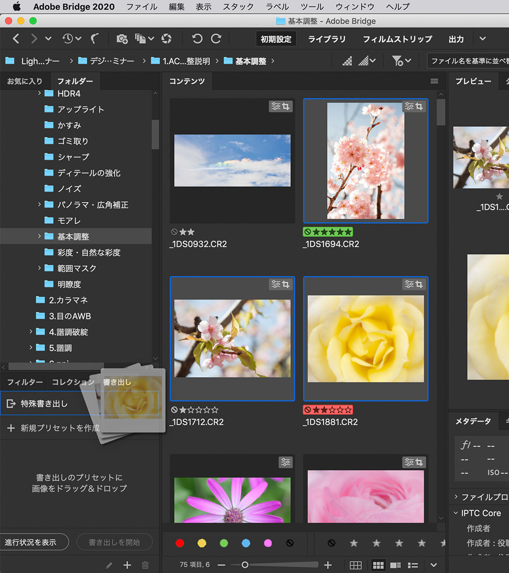 Adobe Bridge 2020 新機能『書き出し』_f0274403_13374562.jpg