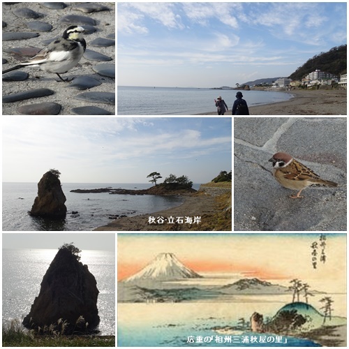 ミニ大掃除と逗子へ_c0051105_16244279.jpg