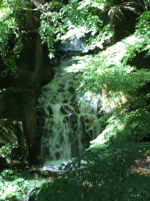 a0100706_21523003.jpg