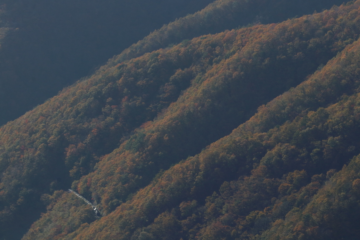 紅葉の山々の陰影 - 2019年紅葉・釜石線 -_b0190710_22051288.jpg