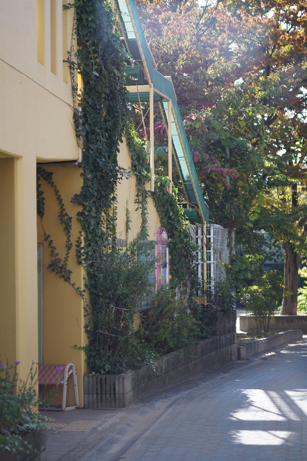 ベローズタクマー 100mmF4 で 近所を散歩_b0069128_13001186.jpg