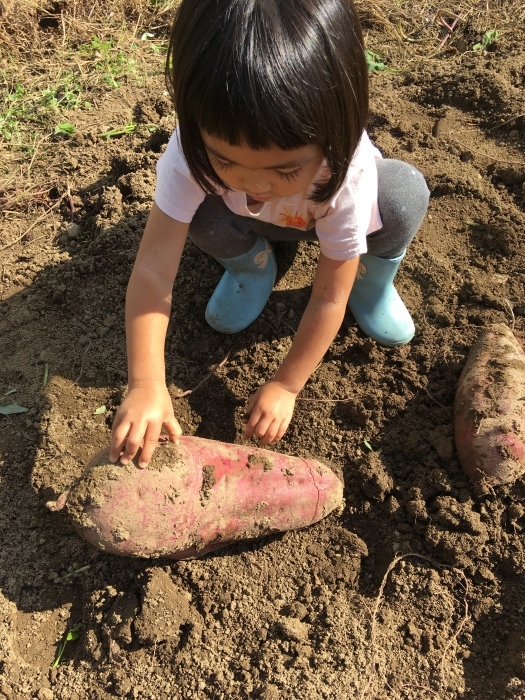 柚子狩り_e0155231_10362186.jpeg