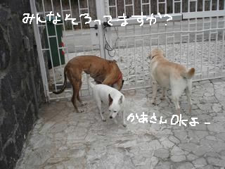 アメリカのカントリー風な朝ごはん_d0269832_11034850.jpeg