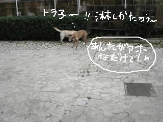 アメリカのカントリー風な朝ごはん_d0269832_11085653.jpeg